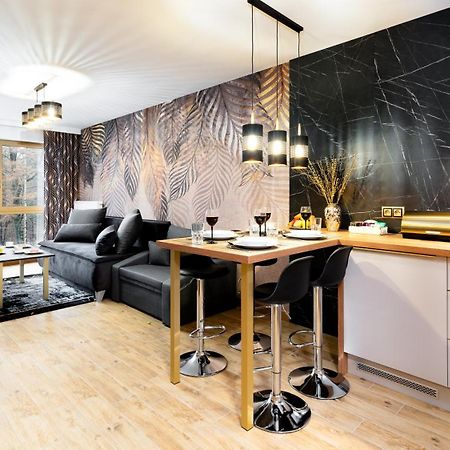Apartament Karo I Шклярска Поремба Екстериор снимка